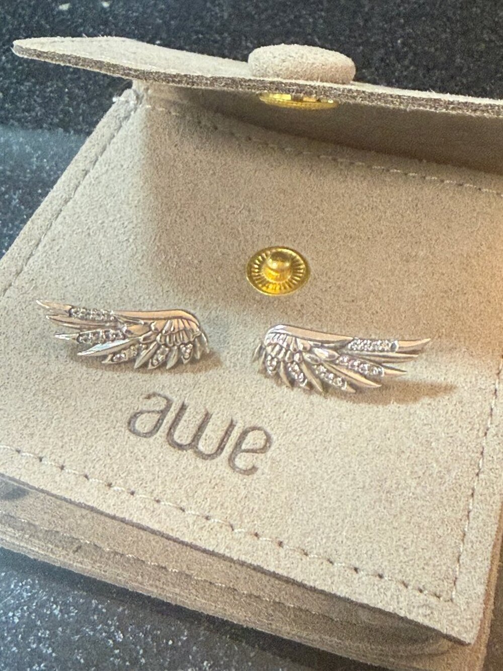 Awe Inspired Wing Climber Earrings